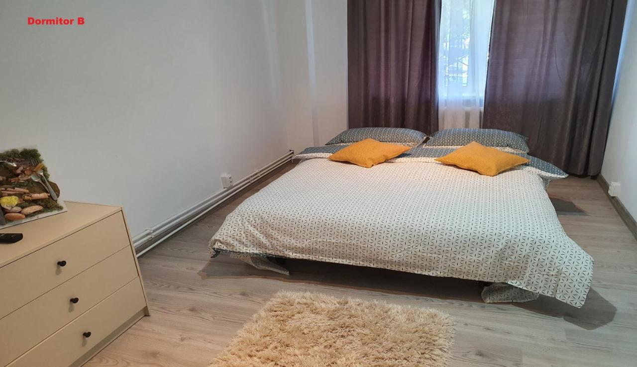 Mia Central Apart, 3 Rooms, 2 Baths, Afi Mall ブラショフ エクステリア 写真